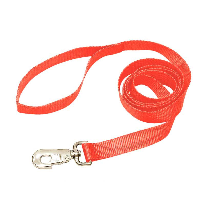 Nylon Leash, - Lucky Pet